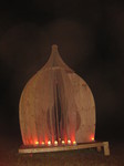 Firefly Temple at Night